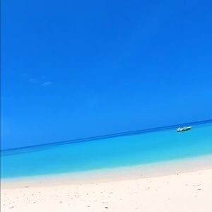 Meet your Posher, Frank